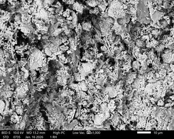 Изображение выглядит как лишайник, риф, черно-белый, камень

Автоматически созданное описание