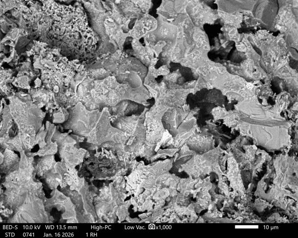 Изображение выглядит как риф, карта, черно-белый, природа

Автоматически созданное описание